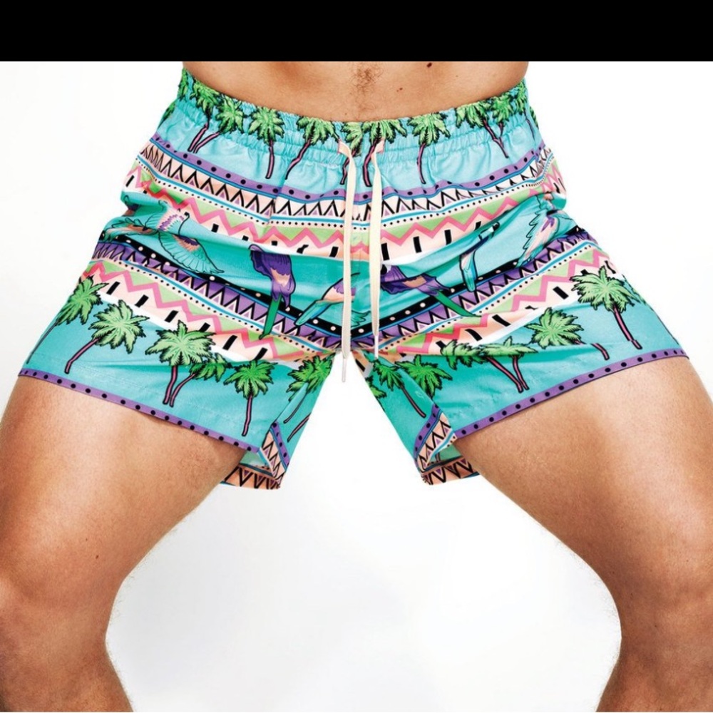 Chubbies Swim Trunks